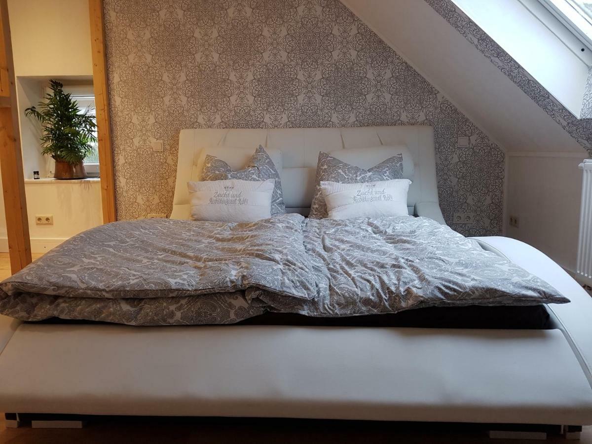Zucht- Und Ausbildungsstall Rubly Kleinbundenbach Luaran gambar